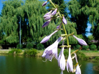 Wojsławickie Klimaty - galeria zdjęć